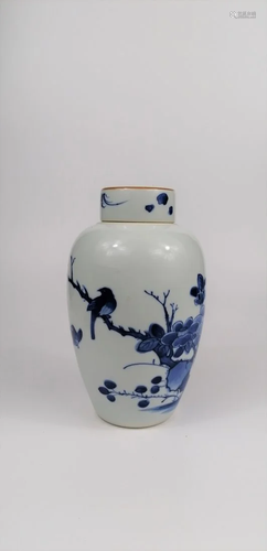 A Chinese Blue and white Jar