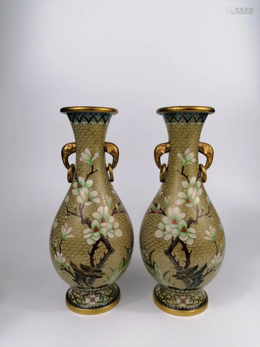 A Pair of Chinese cloisonne vase