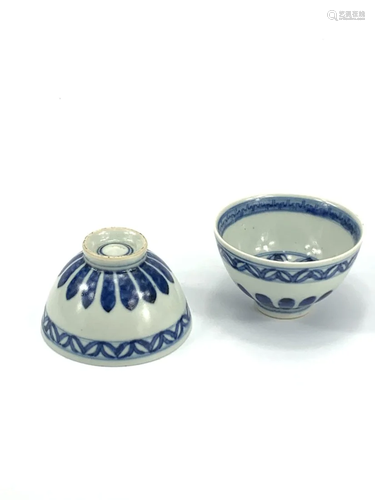 A pair of Chinese blue and white