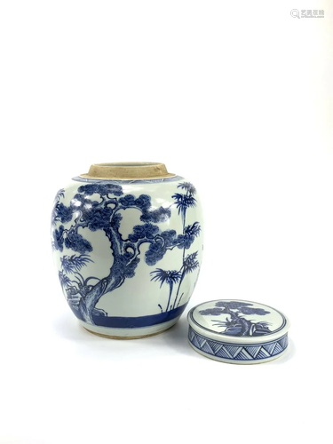 A Chinese blue and white plants ginger jar