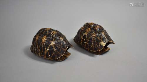 A Pair of Tortoise Carapace with Distinct Black and Yellow M...