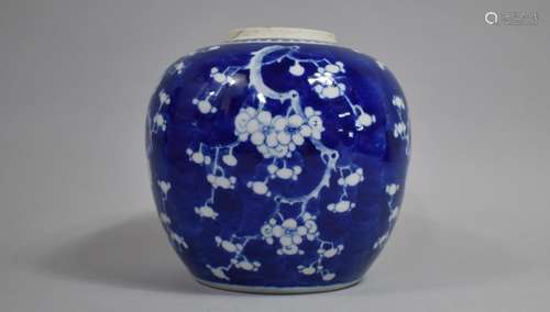 A 19th century Chinese Porcelain Blue and White Prunus Ginge...