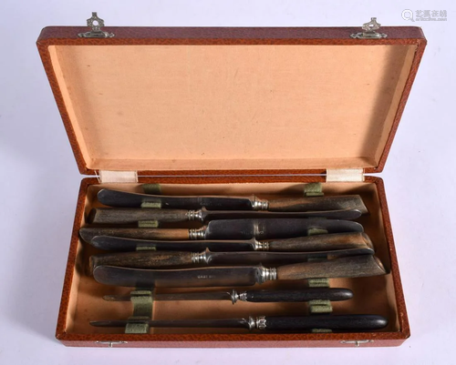 A CASED SET OF EIGHT ANTIQUE RHINOCEROS HORN KNIVES. (8)