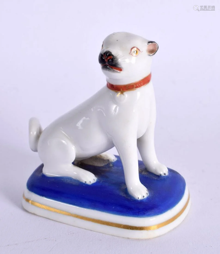 19TH CENTURY CHAMBERLAIN WORCESTER PUG DOG SEATED ON A BLUSH...