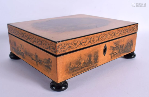 A FINE 19TH CENTURY EUROPEAN PEN WORK SATINWOOD BOX decorate...