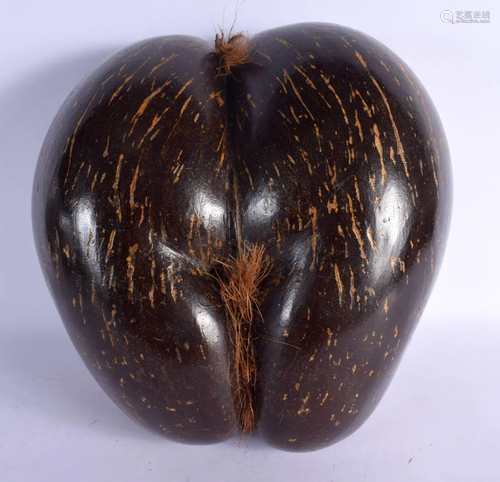 A LARGE EARLY 20TH CENTURY COCO DE MER NUT of naturalistic f...