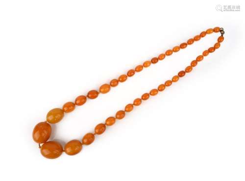 Un collier de perles d'ambre à une rangée, 72cm, 85g.
