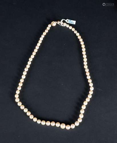 IMPORTANT CULTURED PEARL NECKLACE FROM 1 CM TO 7 MM THICK