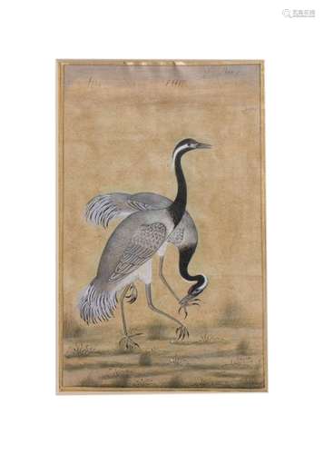 A PAIR OF SARAS BIRDS, BY MANSUR GOUACHE AND GILT ON PAPER, ...