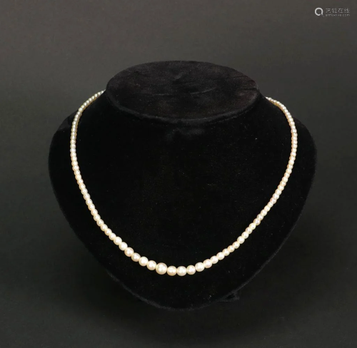 A Natural Saltwater Pearls Necklace