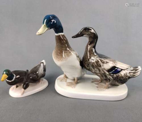 Two groups of ducks Rosenthal, duck and drake on oval base, ...