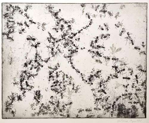 Aguilar, Milena (1968 Linz) "Ants", etching, signe...
