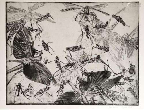 Aguilar, Milena (1968 Linz) "Locusts", etching, si...