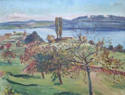 Lake Constance Painter (20th century) "Am Untersee"...