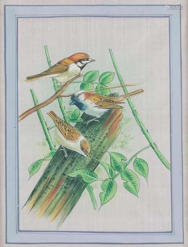 ANONYMOUS (S.XX) "Scenes of birds in branches and flowe...