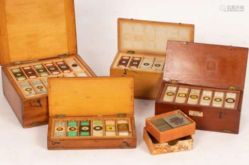 A quantity of microscope slides by Charles M Topping and oth...