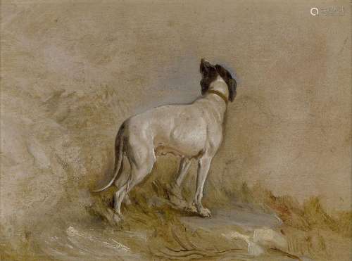 Circle of Charles Towne, British 1763-1840- Study of a dog i...