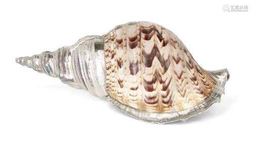 A large silver mounted conch shell