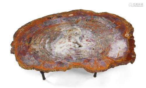 A fossilised wood coffee table