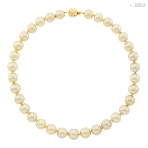 Golden South Sea Cultured Pearl Necklace with Gold Clasp