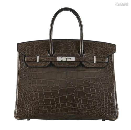 HERMÈS 2009 Sac BIRKIN 35 Alligator mat Havane (Alligator mi...