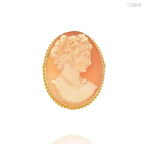 Shell and 14K Cameo Pendant / Brooch