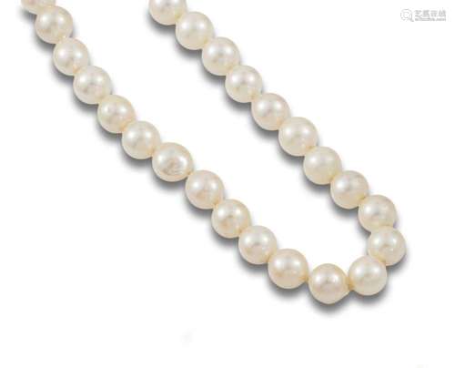 Sautoir of cultured pearls calibrated in 9 mm.