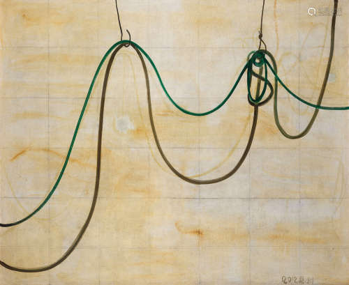 张恩利 ZHANG ENLI （b.1965） 2012 绿色电线 布面油画