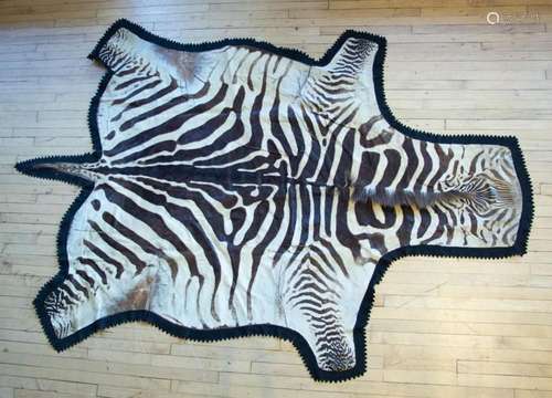 ZEBRA TAXIDERMY FULL-BODY CARPET, W 6  6", L 9  2"