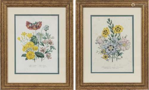 JANE LOUDON, TINTED LITHOGRAPHS ON PAPER, PAIR, H 10", ...