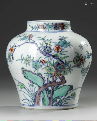 A CHINESE DOUCAI JAR 19TH/20TH CENTURY