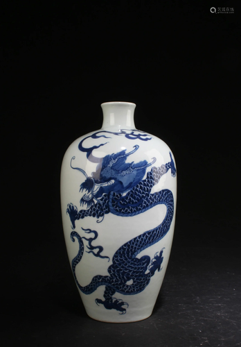 Chinese Blue & White Porcelain Vase