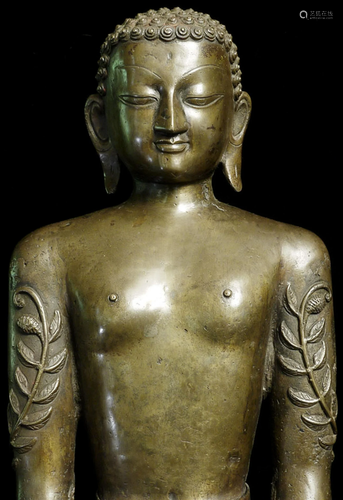 BIG 19thC Jain Bronze Jina with vines growing up his