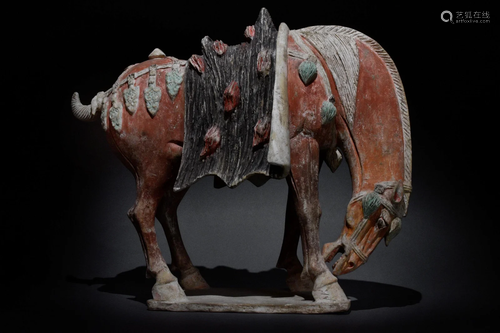 CHINESE TANG DYNASTY TERRACOTTA GRAZING HORSE - TL TESTED - ...