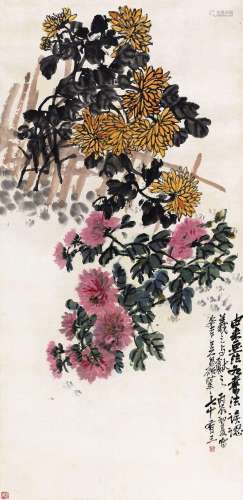 吴昌硕 (1844-1927) 双色菊花