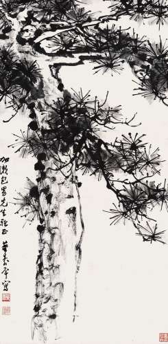 董寿平 (1904-1997) 苍松