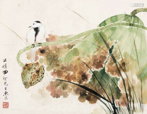 田世光（1916-1999） 荷塘小鸟 镜框 设色纸本 