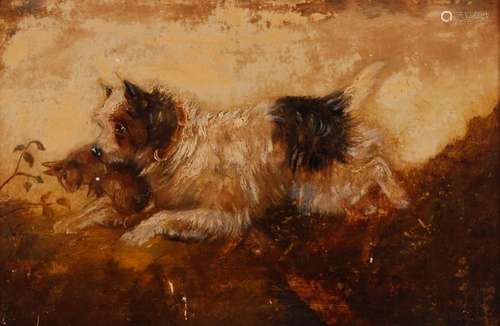 Edward Armfield 1817-1896, studies of a terrier with rabbit ...