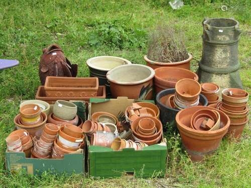 A quantity of approximately 50 plus terracotta flower pots o...