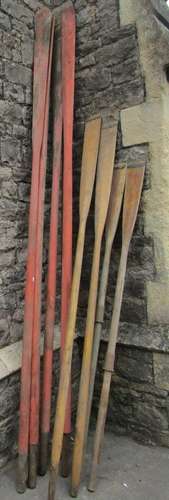 A collection of ashwood oars, some with natural finish, some...