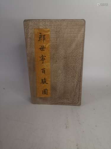 Chinese Ink Color Album