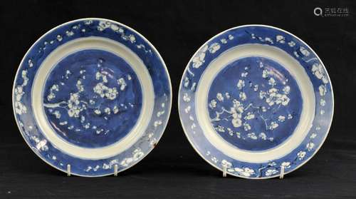 A pair of Chinese blue and white dishes . Qing dynasty paint...