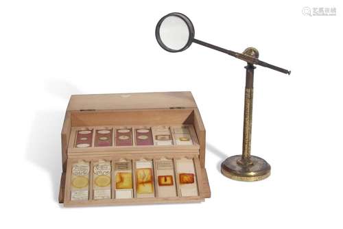 A case containing nine trays of 19th century microscope slid...