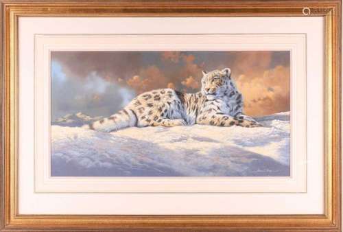 † Adrian C Rigby (b. 1962) British, 'Snow Leopard', ...