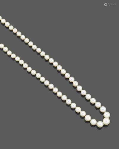 Collier de perles de culture65 perles en chute de 6 à 10 mm