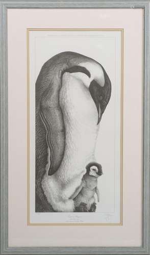 Gary Hodges - 'Emperor Penguins', 20th century monochrome pr...