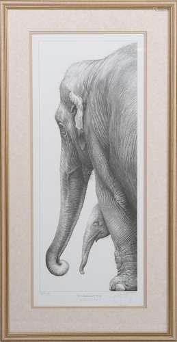 Gary Hodges - 'Asian Elephant with Young', 20th century mono...