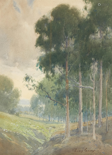 Percy Gray (1869-1952) Eucalyptus trees along a shallow ravi...