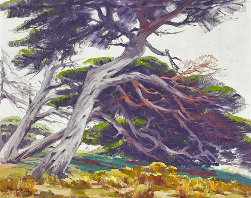 Sam Hyde Harris (1889-1977) Invictus (Monterey Cypress) 16 x...