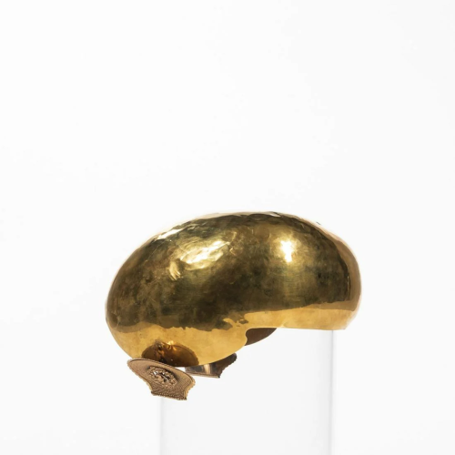 Dutch Gold Ear Iron (Oorijzer)